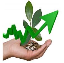 Sustainability